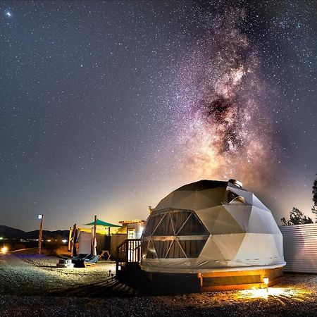 Hotel The Kosmic Tortoise Twentynine Palms Exterior foto