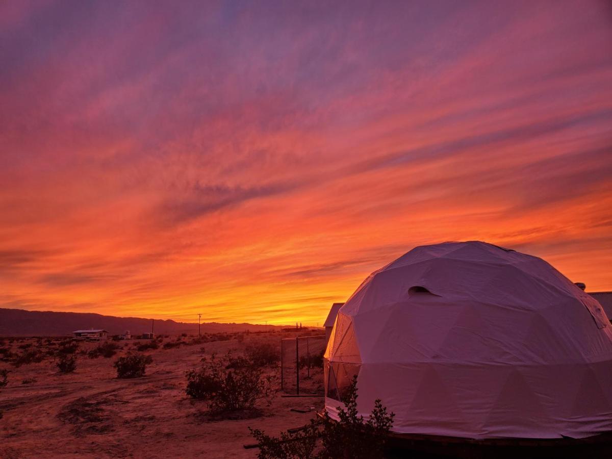 Hotel The Kosmic Tortoise Twentynine Palms Exterior foto